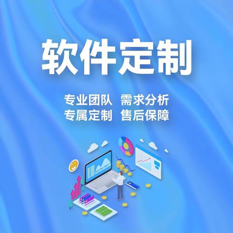 定制软件助力企业数字化转型